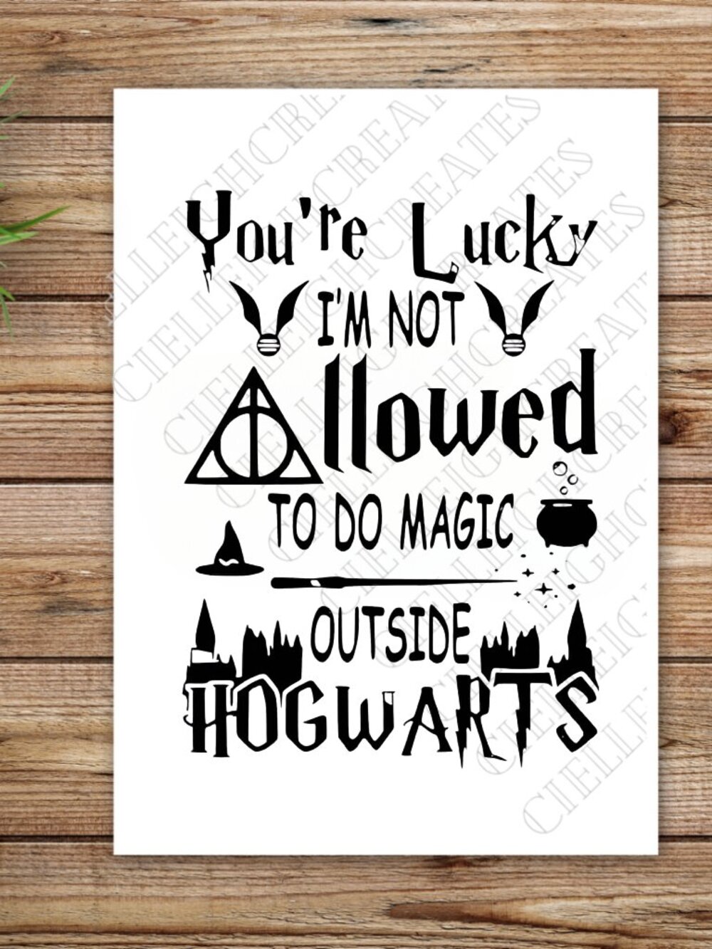 You're Lucky I'm Not Allowed To Do Magic Outside Hogwarts Vinyl Decal Sticker